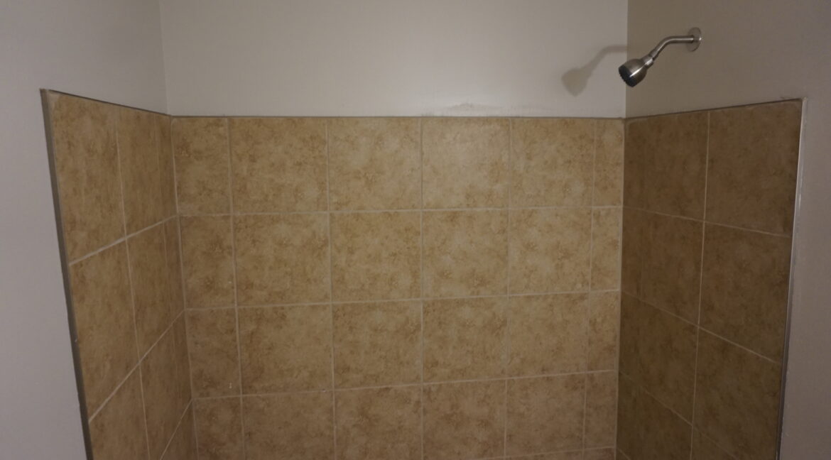 DSC06000